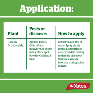 Yates Super Shield Rose Spray