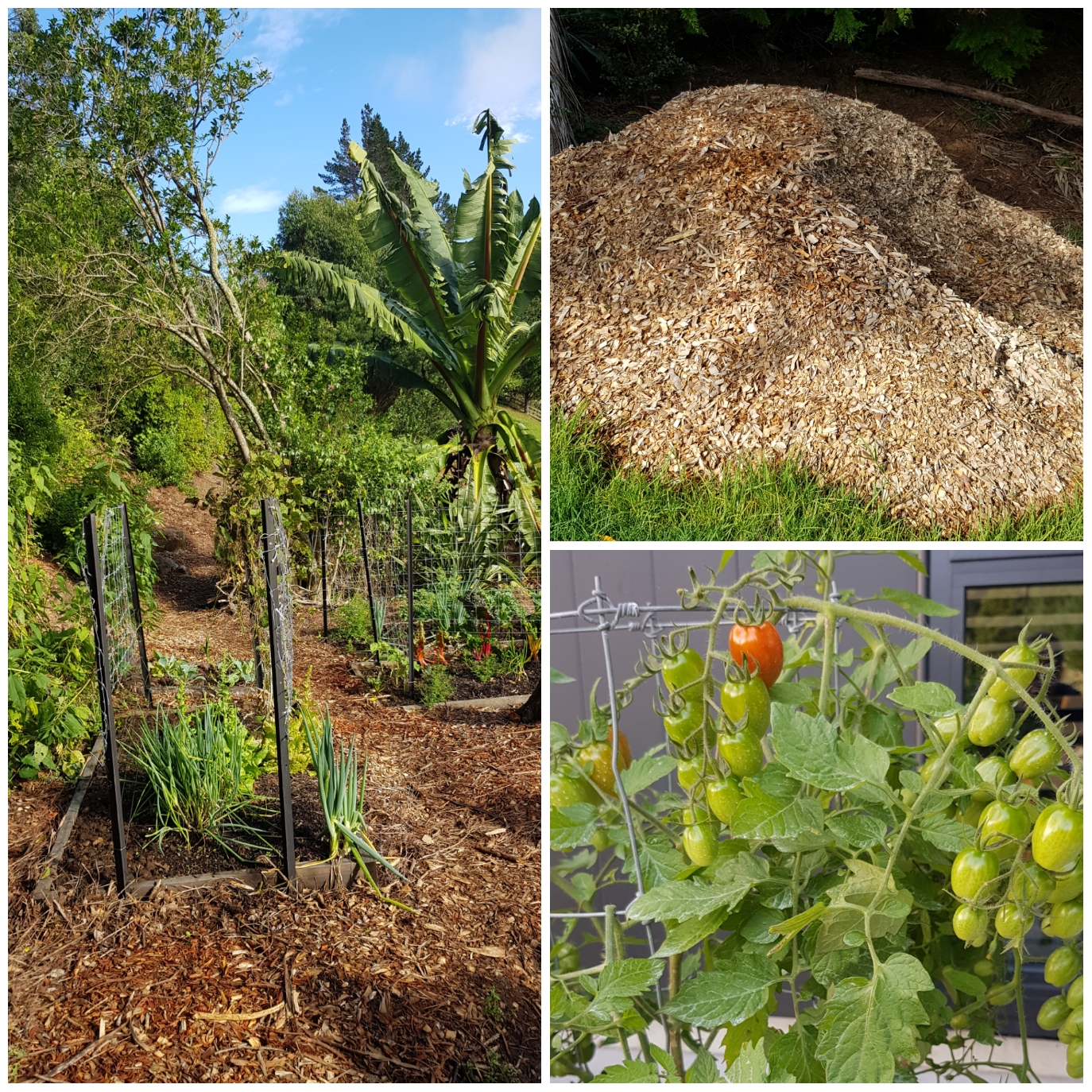 It's been a while... still alive