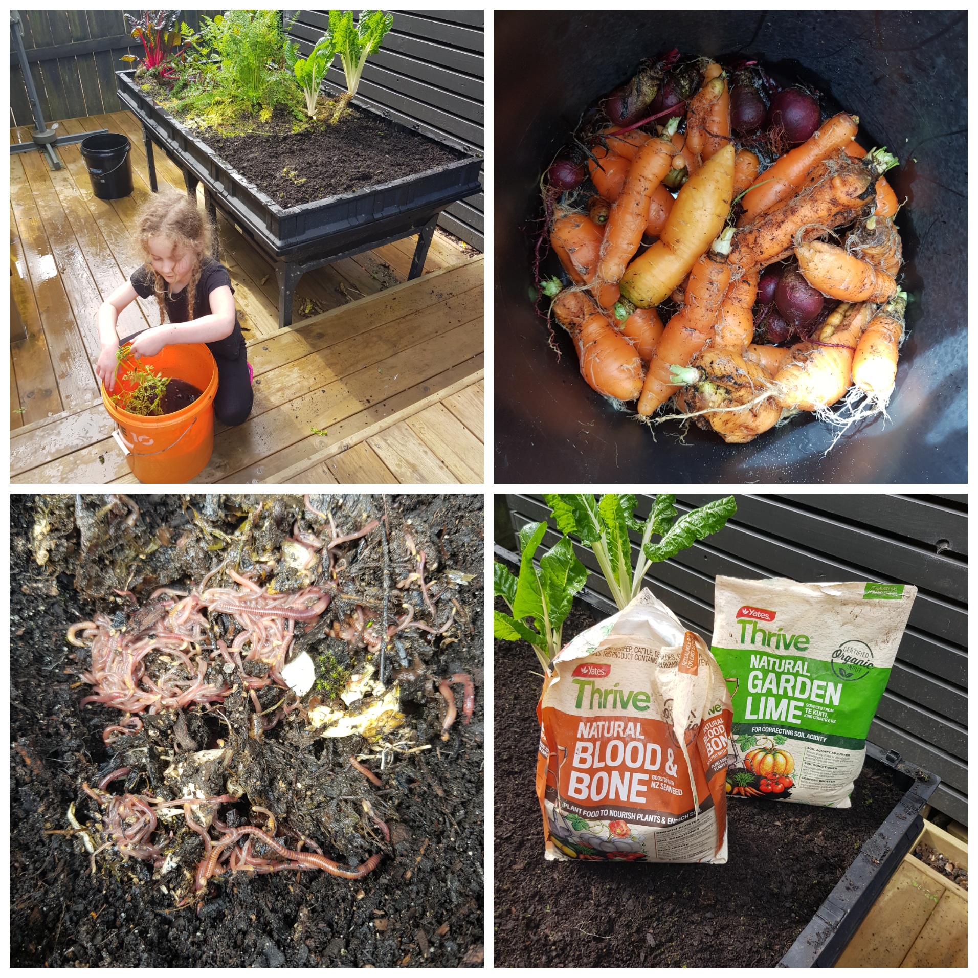 Day 1 or Minus Day 1 - I'm not sure