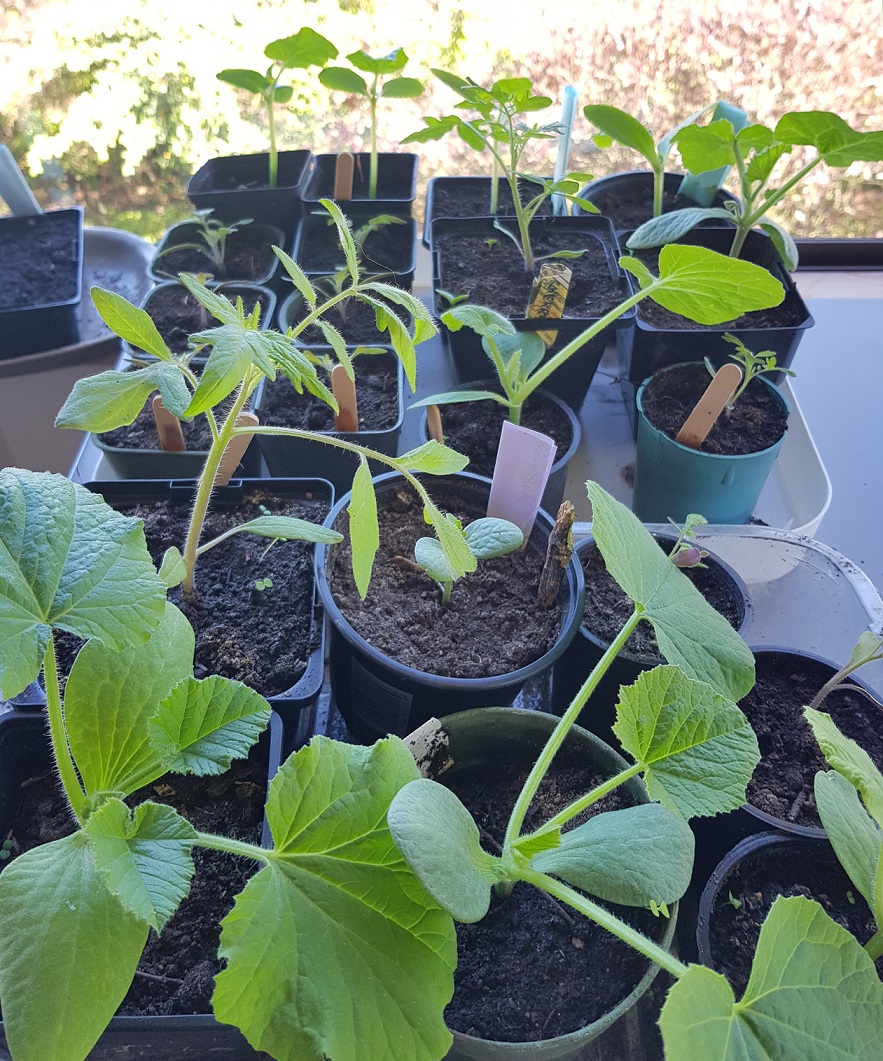 Top five tips learnt the hard way