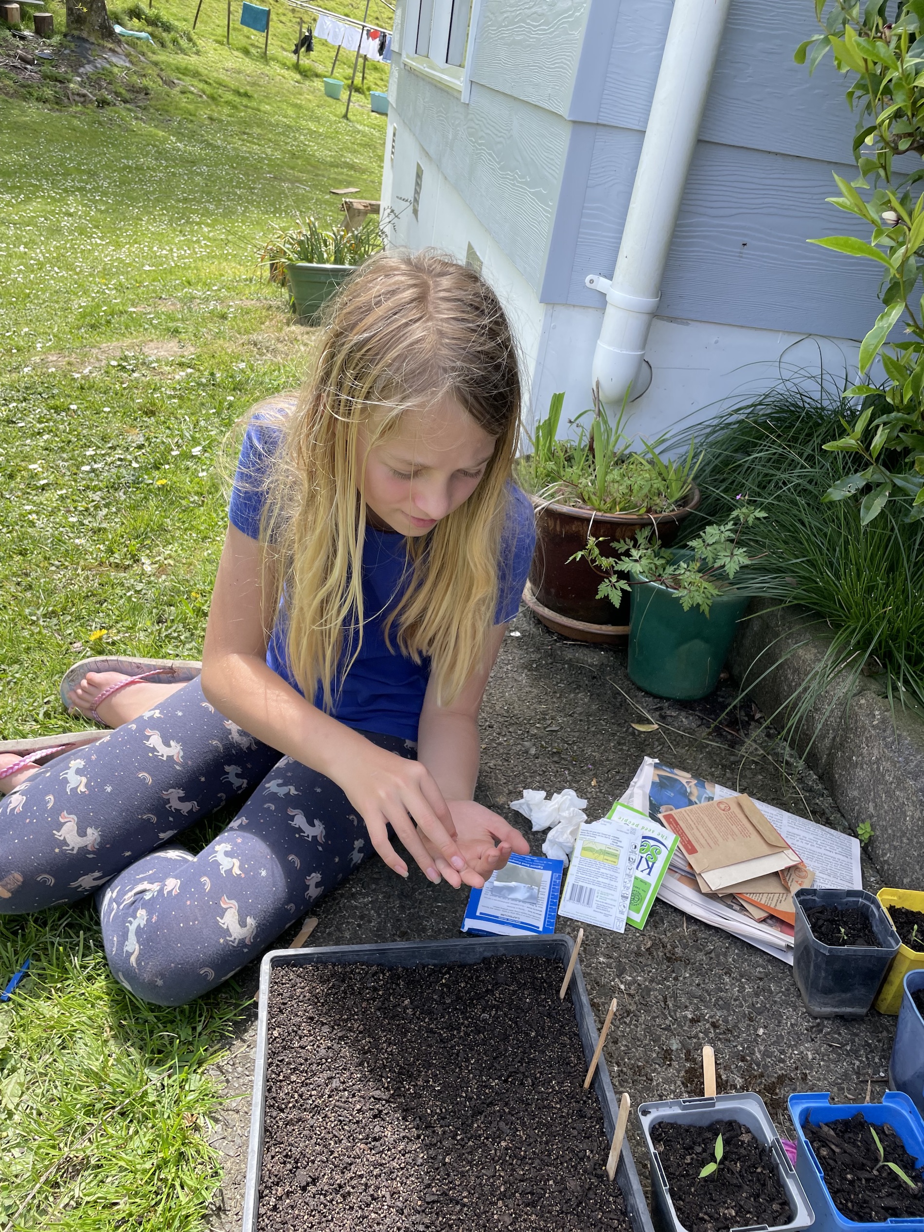 planting and potting