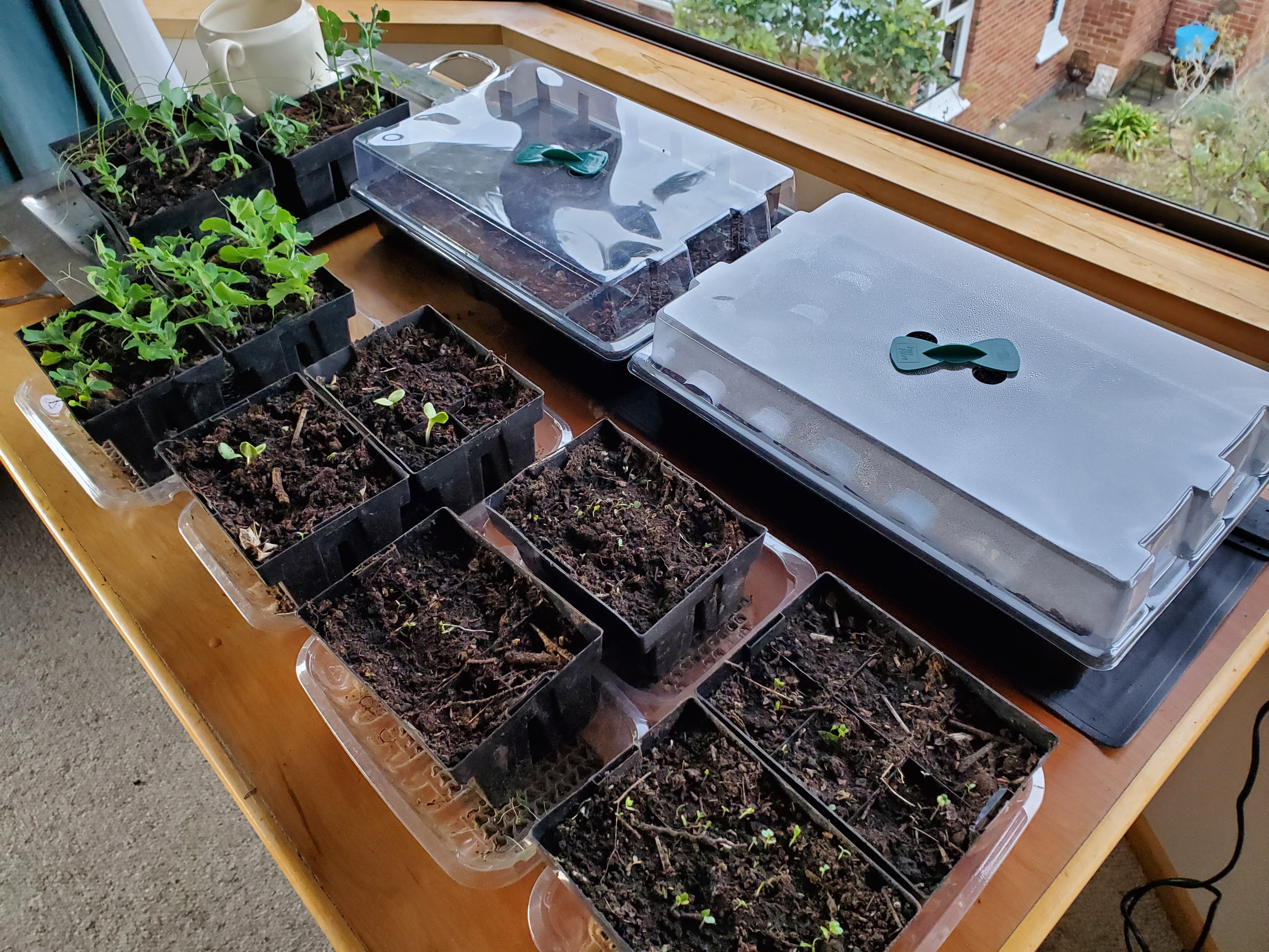 Lack of spring & tomatoes from a military base