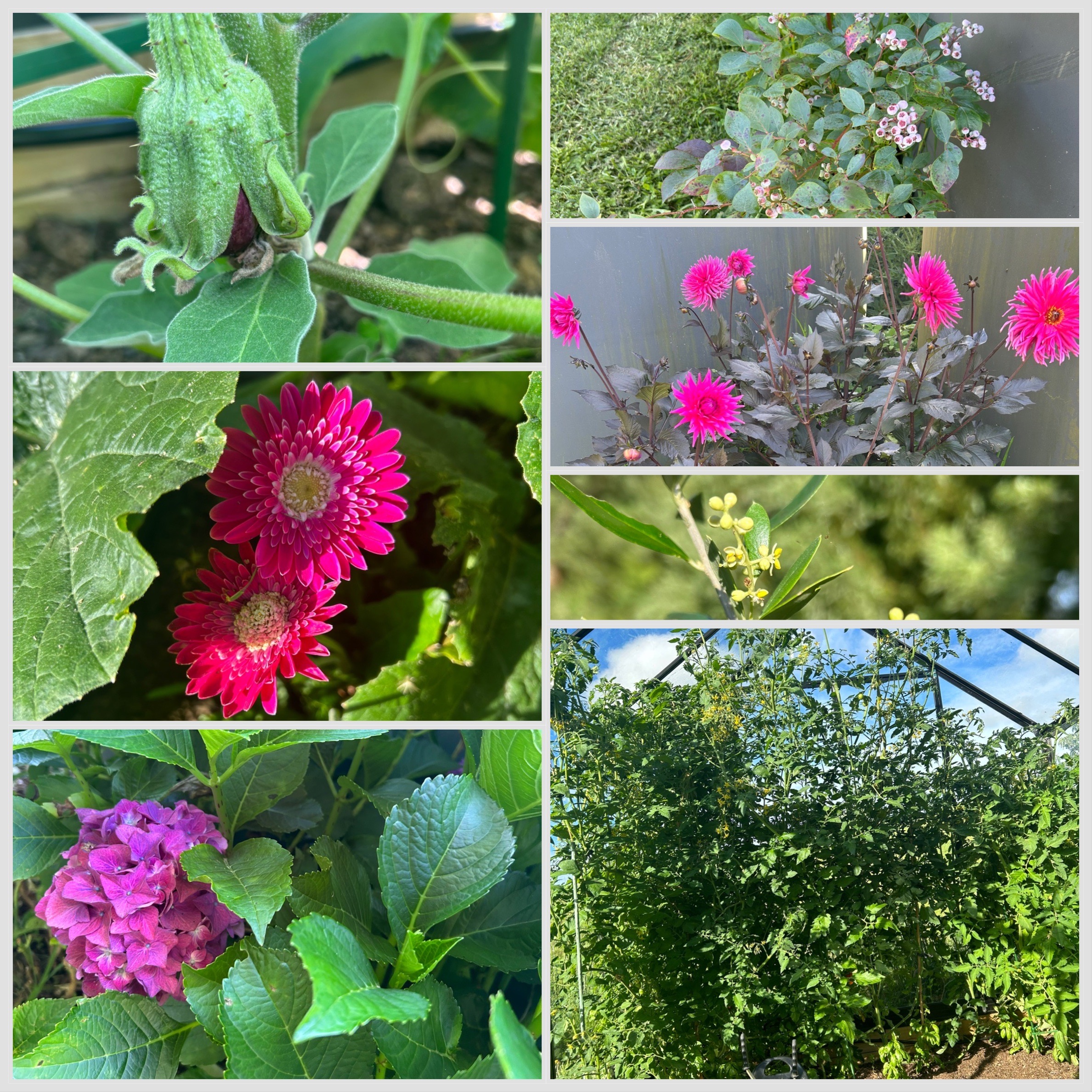 I spy with my little eye