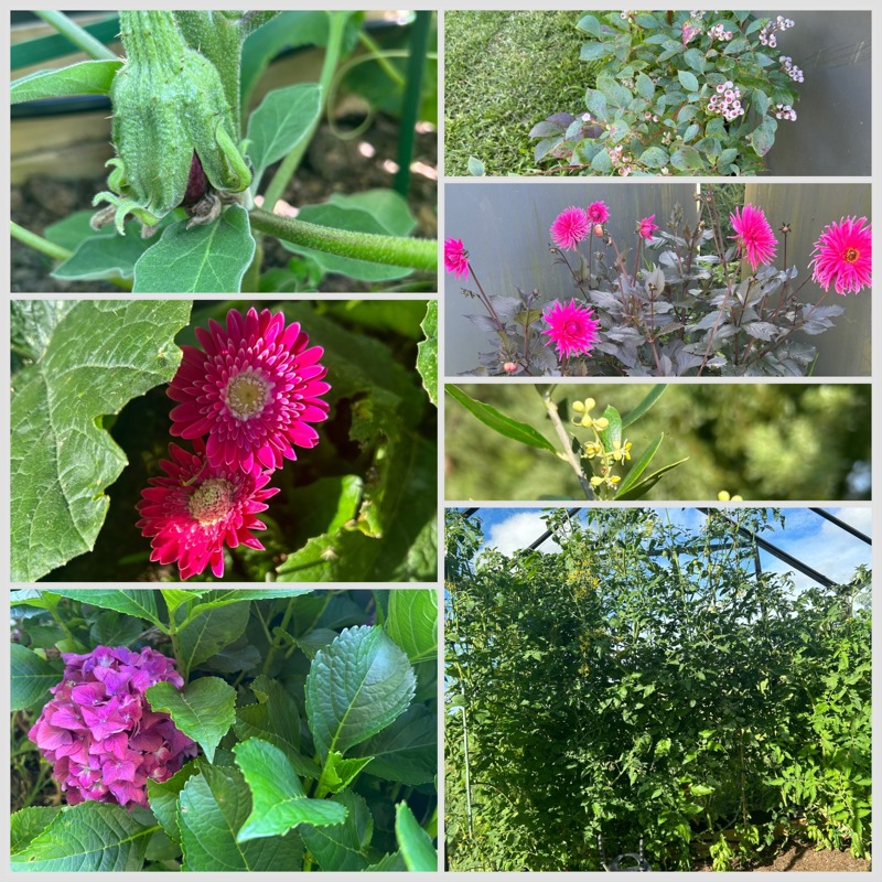 I spy with my little eye