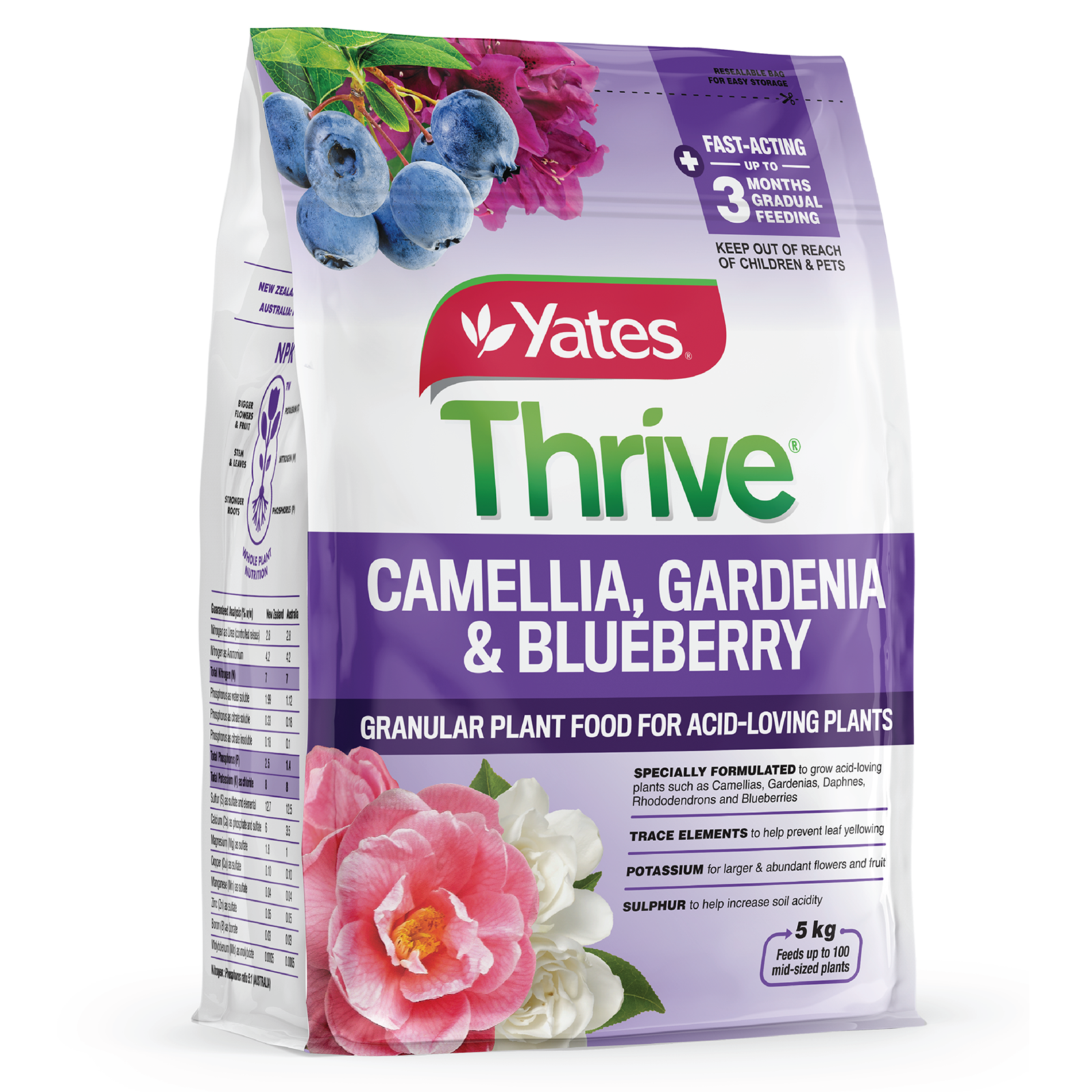 Yates Camelia Granulars V1 01