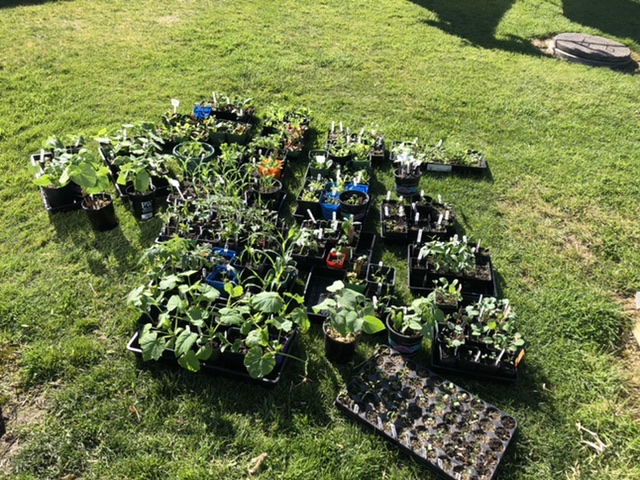 Photo to go with last post