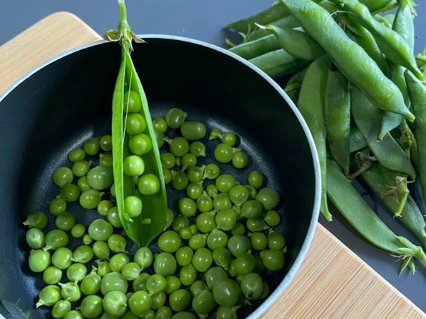 Vegie Growing Challenge