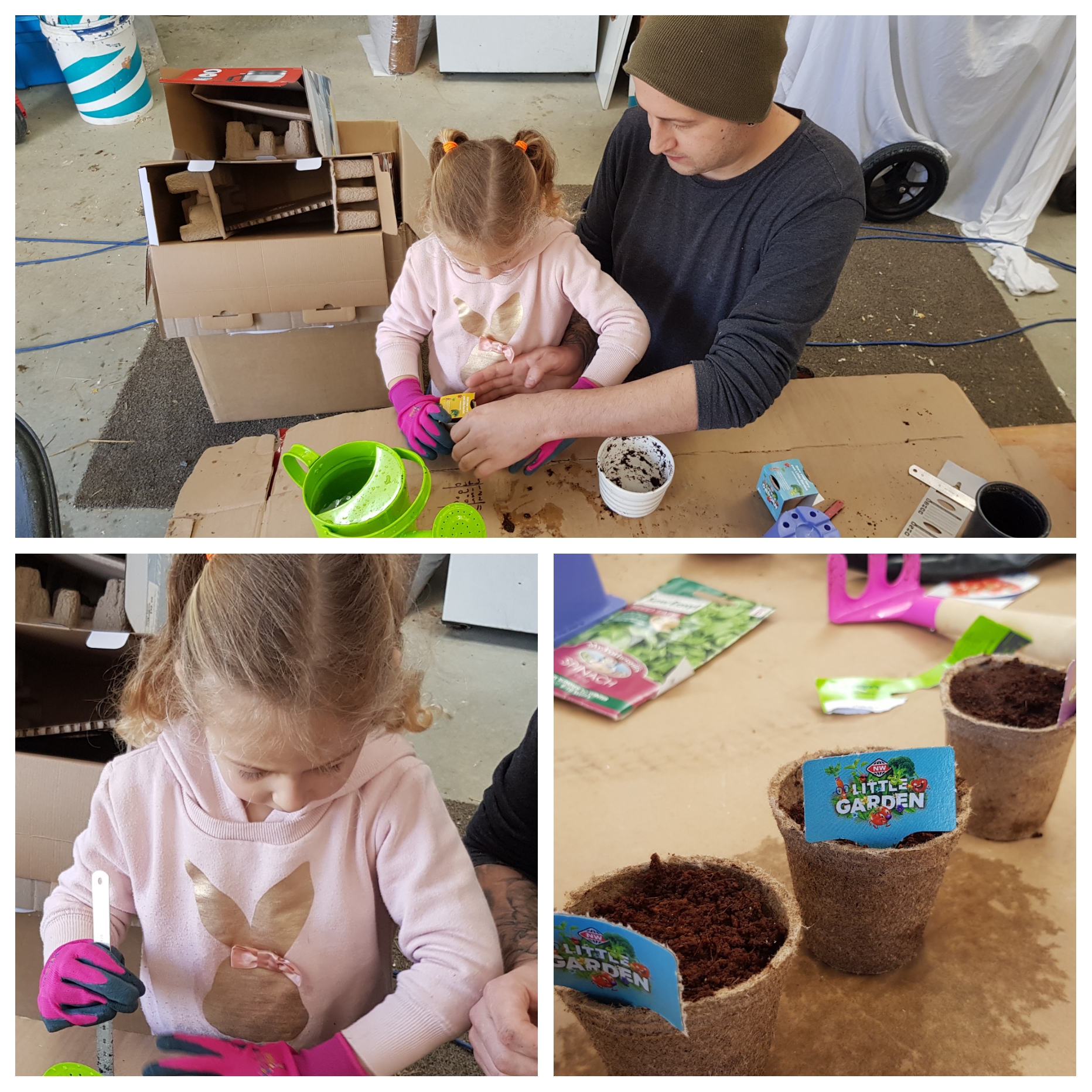 Little Littin Plants Some Seeds