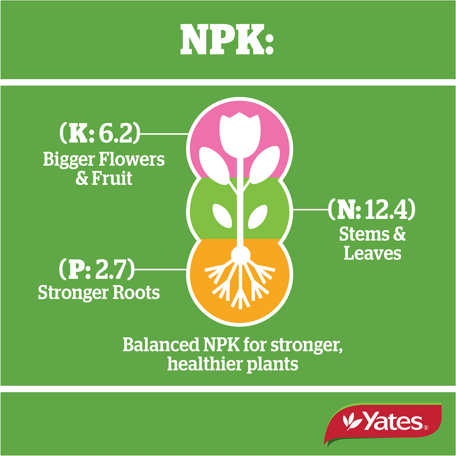 Yates Citrus All Purpose V2 05