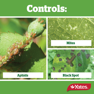 Yates Super Shield Rose Spray