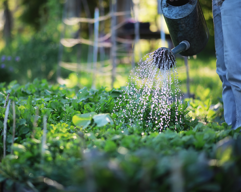 Beginners Guide to Spring