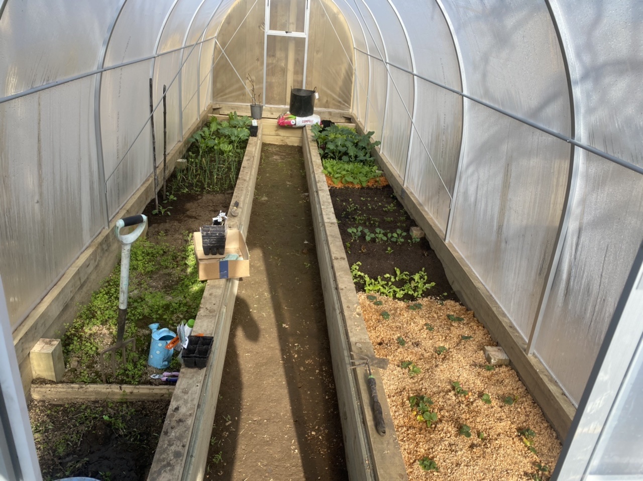 Greetings from the Naki