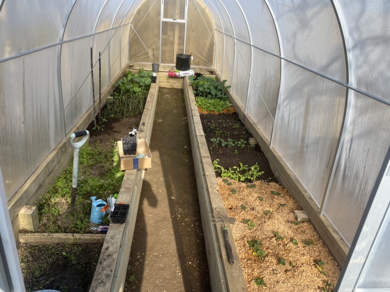 Greetings from the Naki