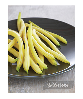 Dwarf Beans Bountiful Butter Product