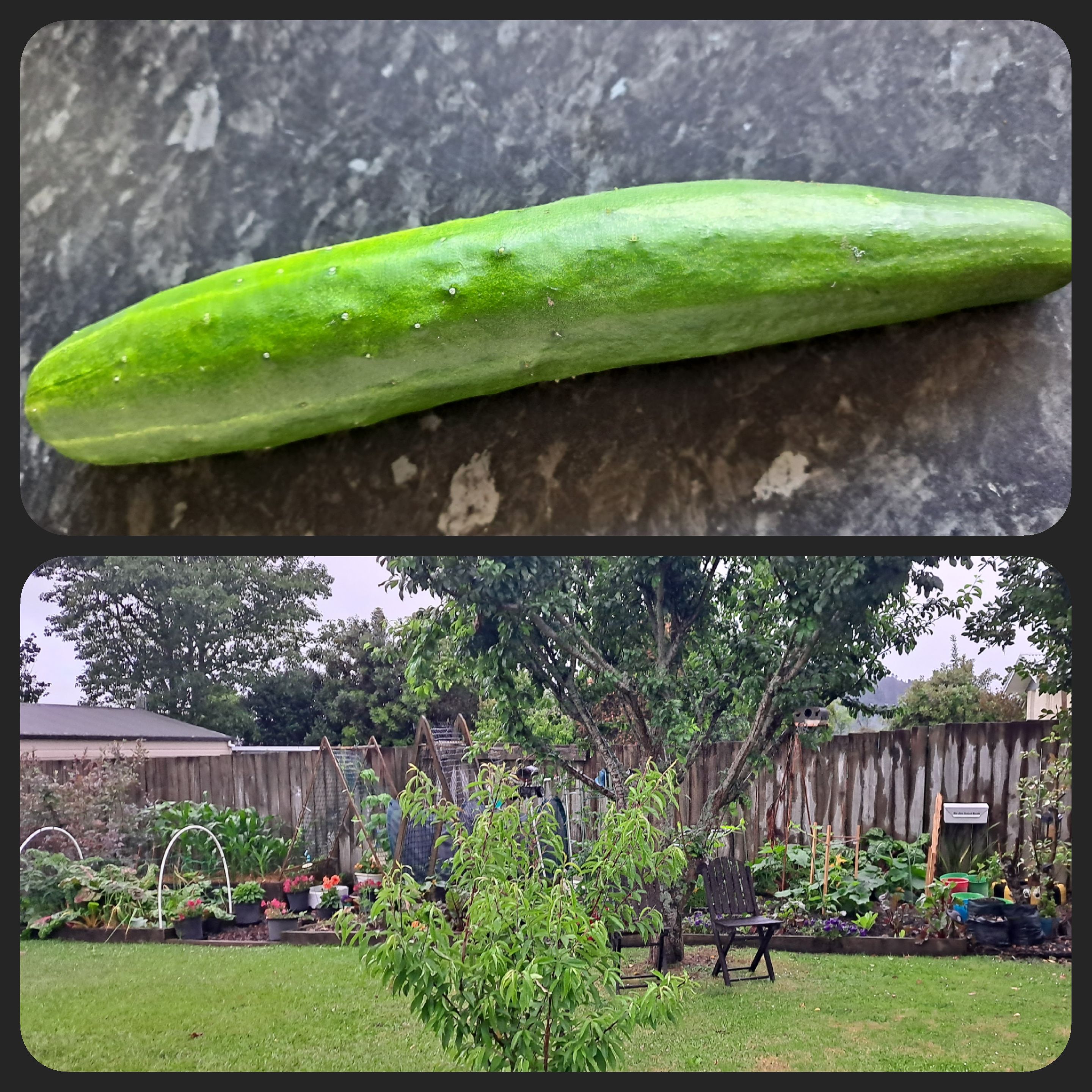 Lists Already Starting for the Weekend