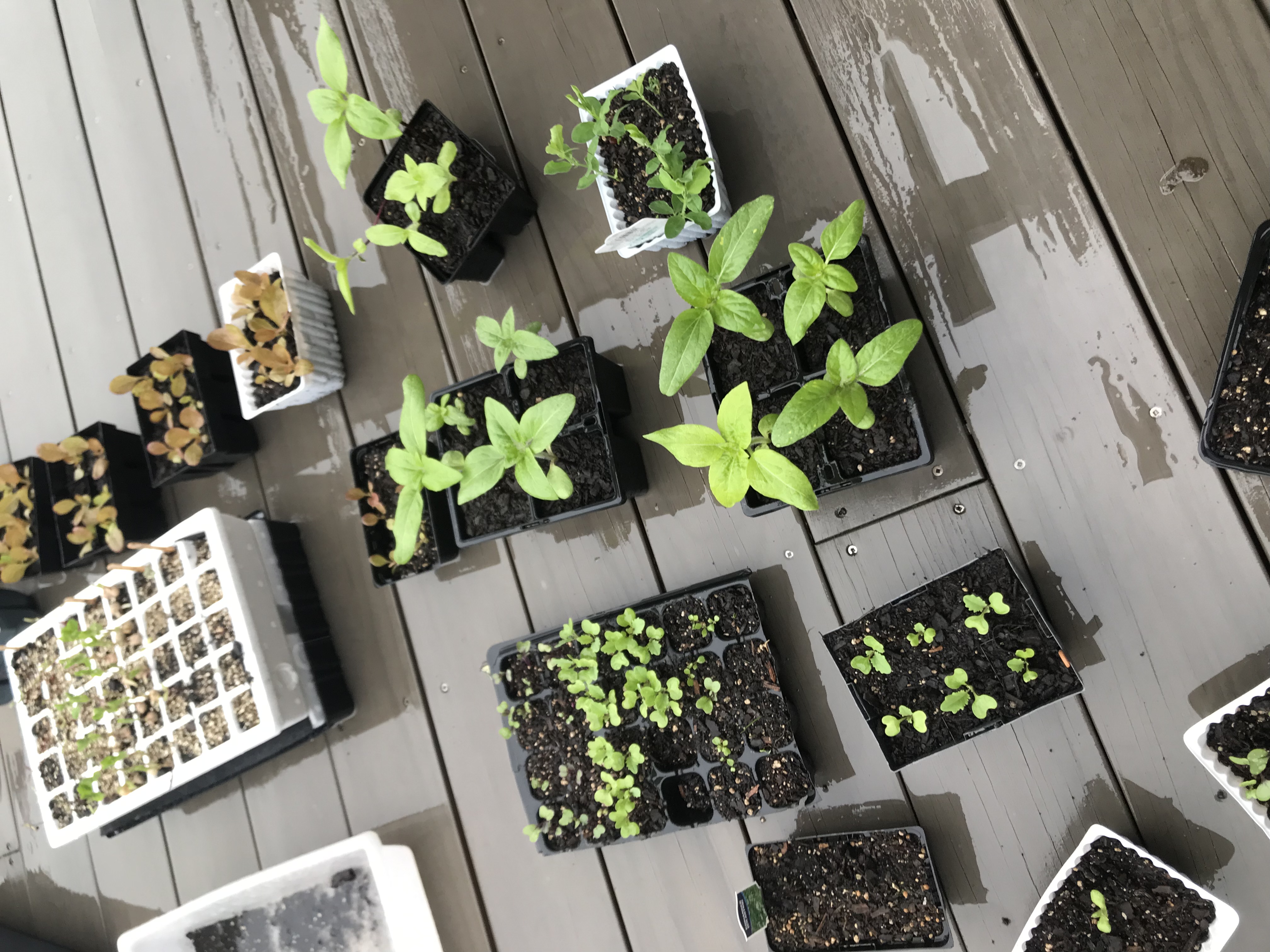 I love a bit of rain 