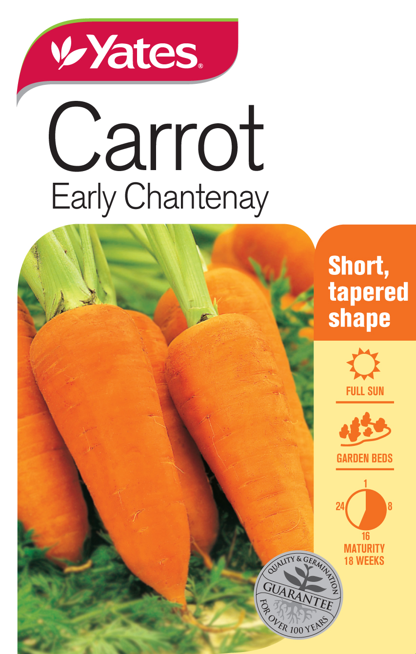 Carrot 'Early Chantenay'