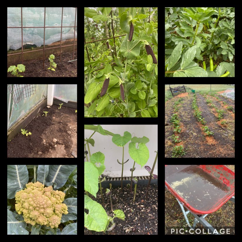 Back to thermals and umbrellas 