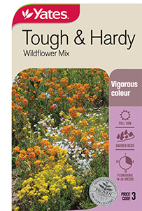 56183 Seed Wildflower Tough & Hardy Mix YATES
