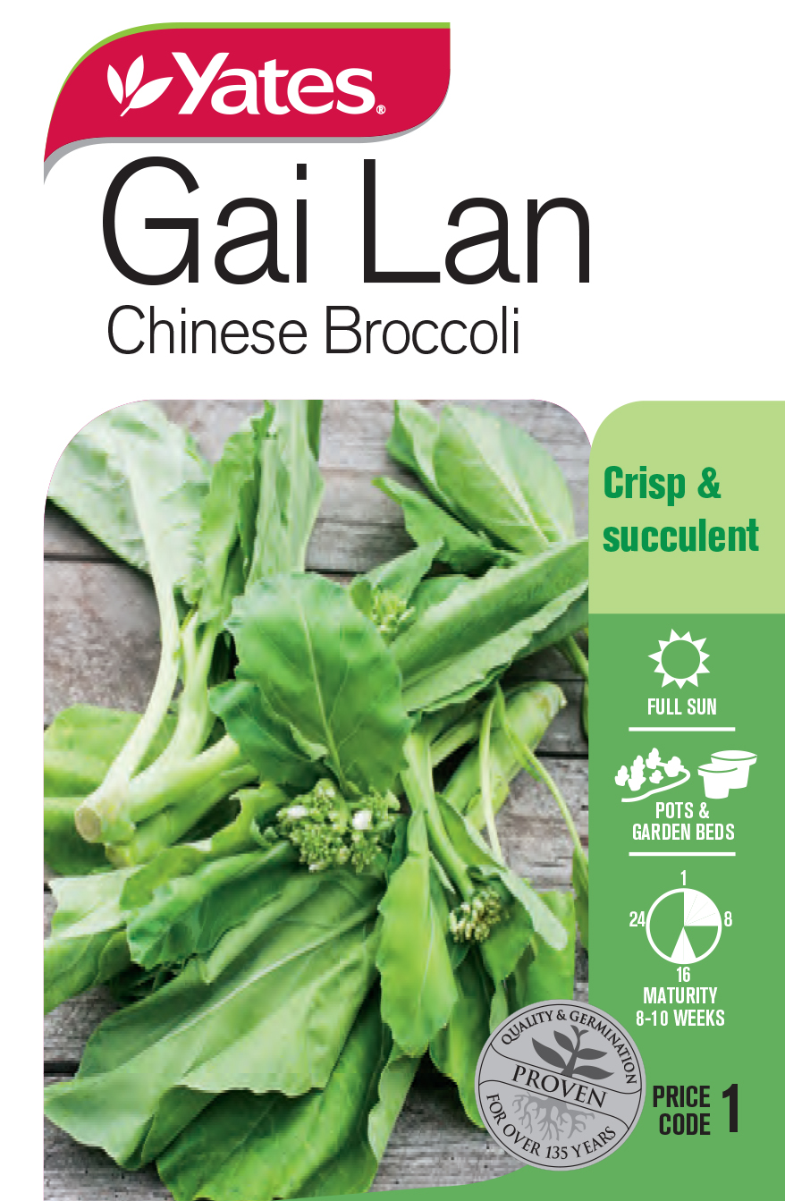 Gai Lan - Chinese Broccoli