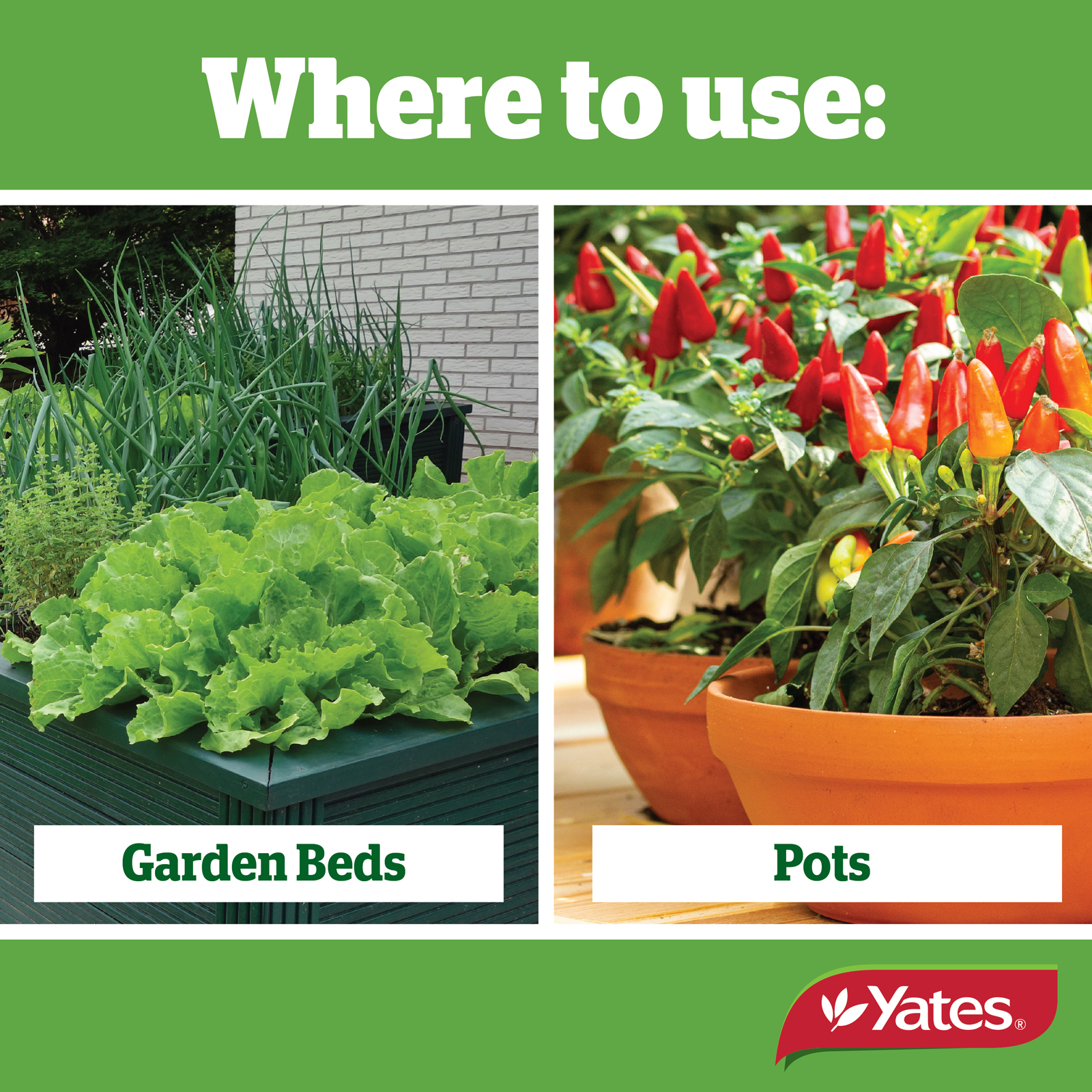 Yates Web Info LIQUID COPPER V2 02