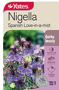 Nigella 'Spanish Love-in-a-mist'