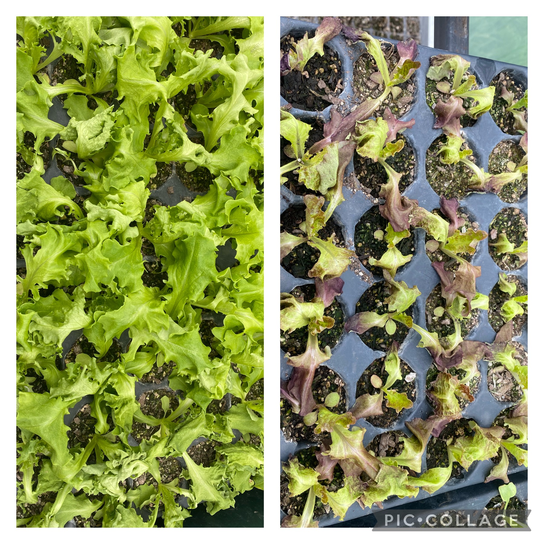 Not what I was expecting 