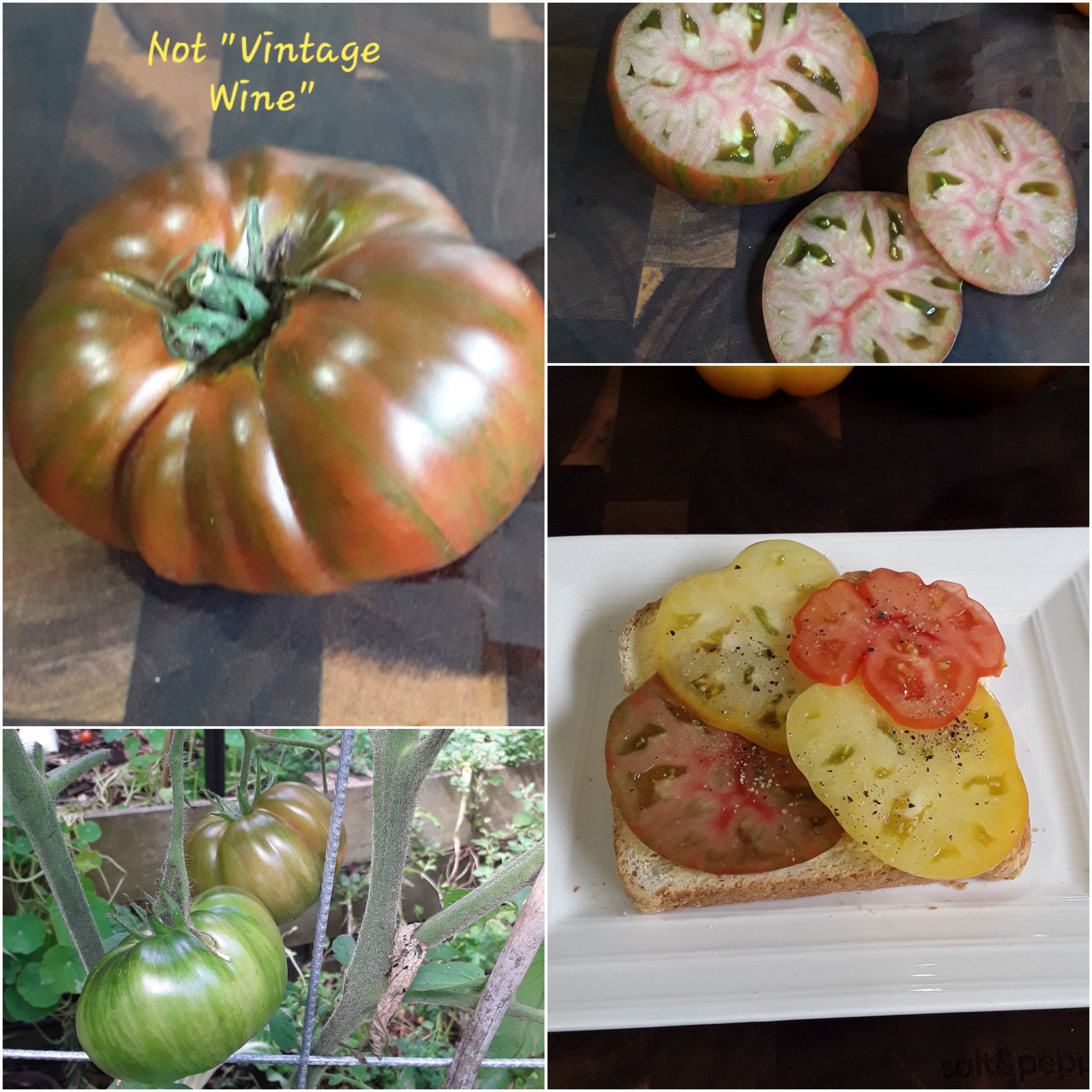 Not Vintage Wine.. final summary.