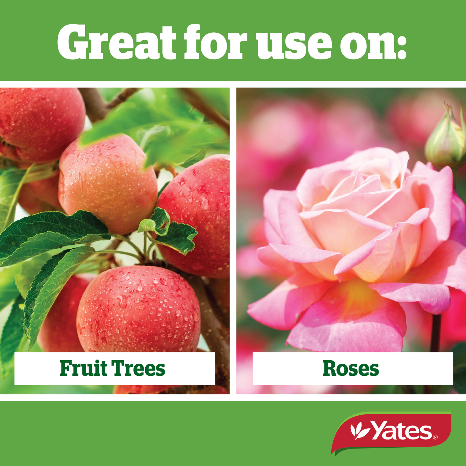 Yates Web Info LIME SULFUR V2 03