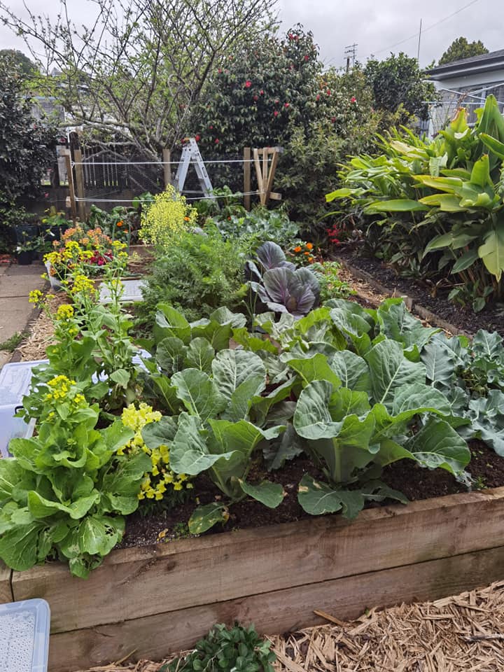 Urban Gardens and Small Spaces