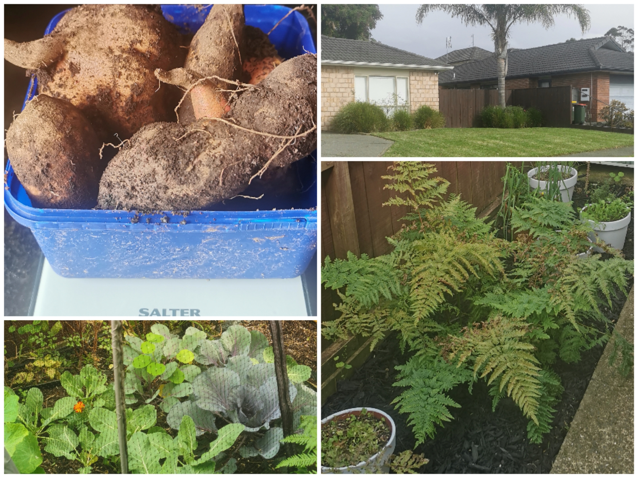 Last weekend of Autumn