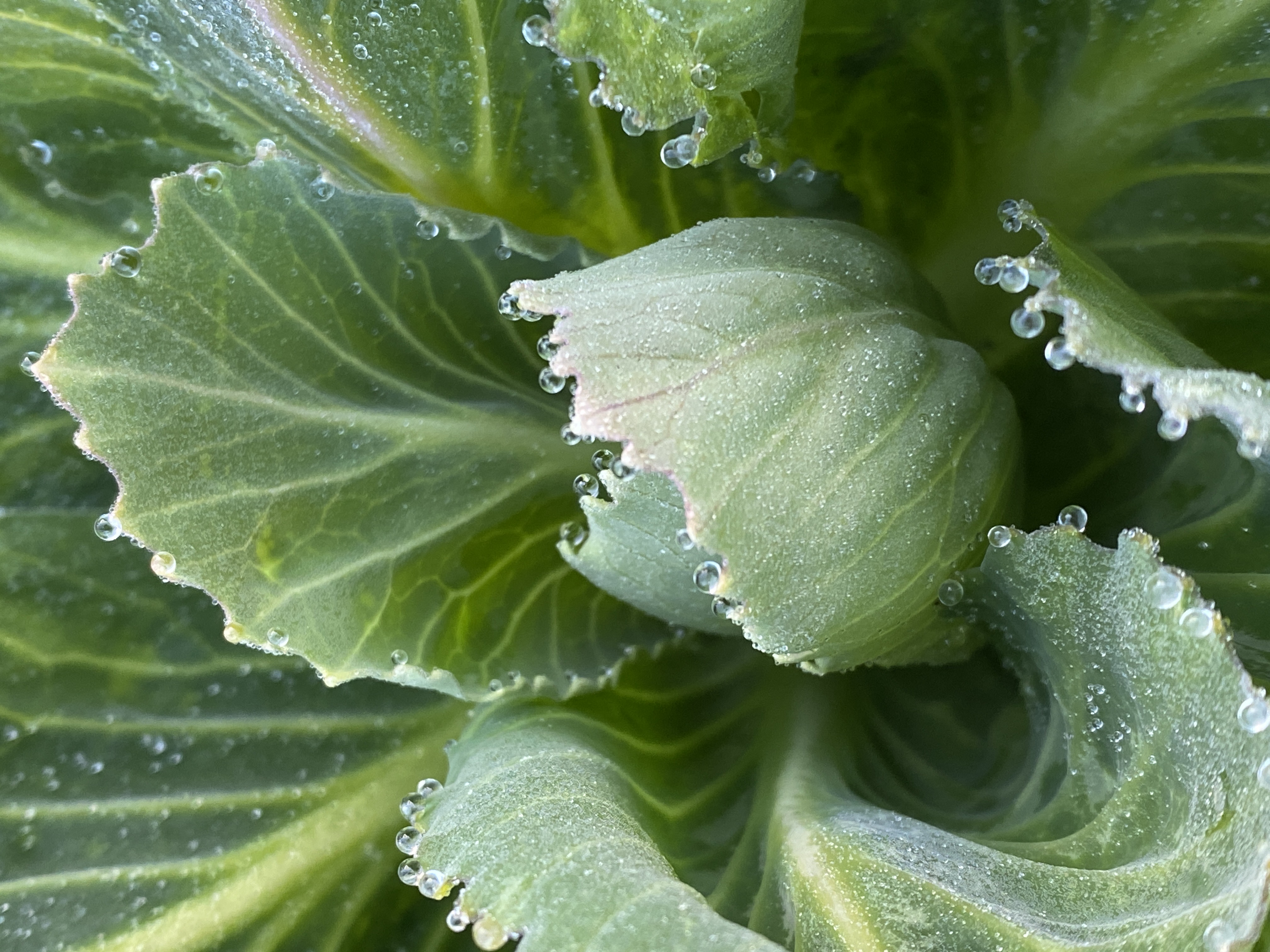 Is it actually spring? 