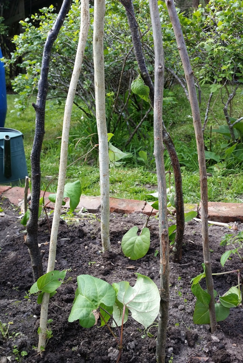 Trying to get some things outside