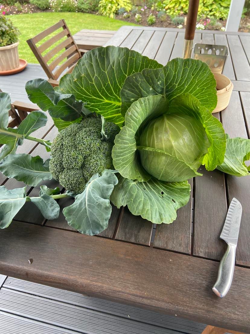 There's gold in that there garden...