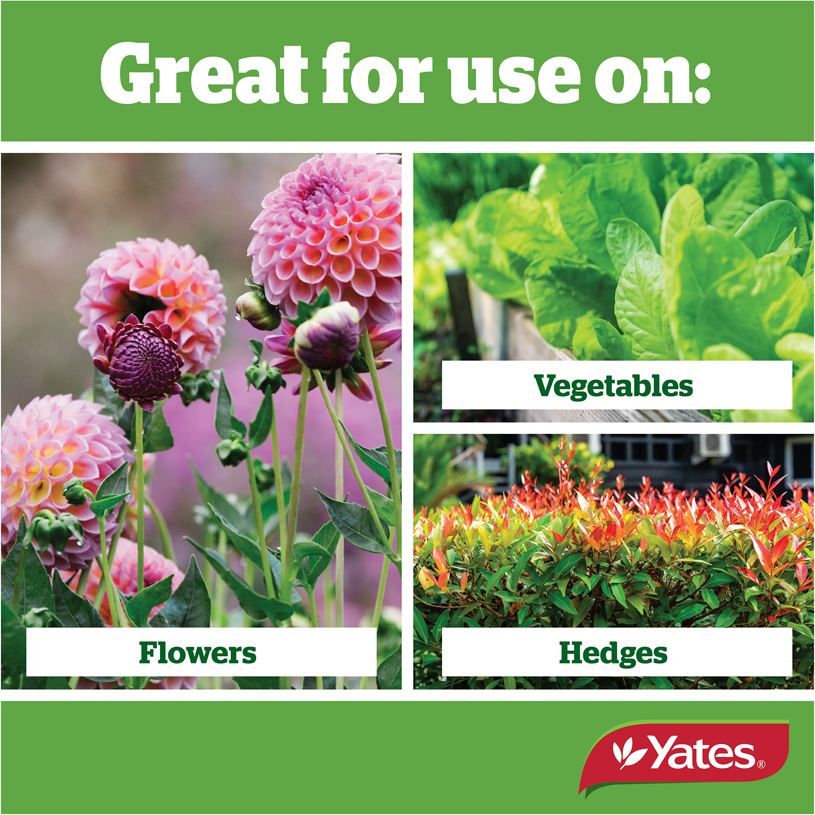 Yates All Purpose Granulars V1 04