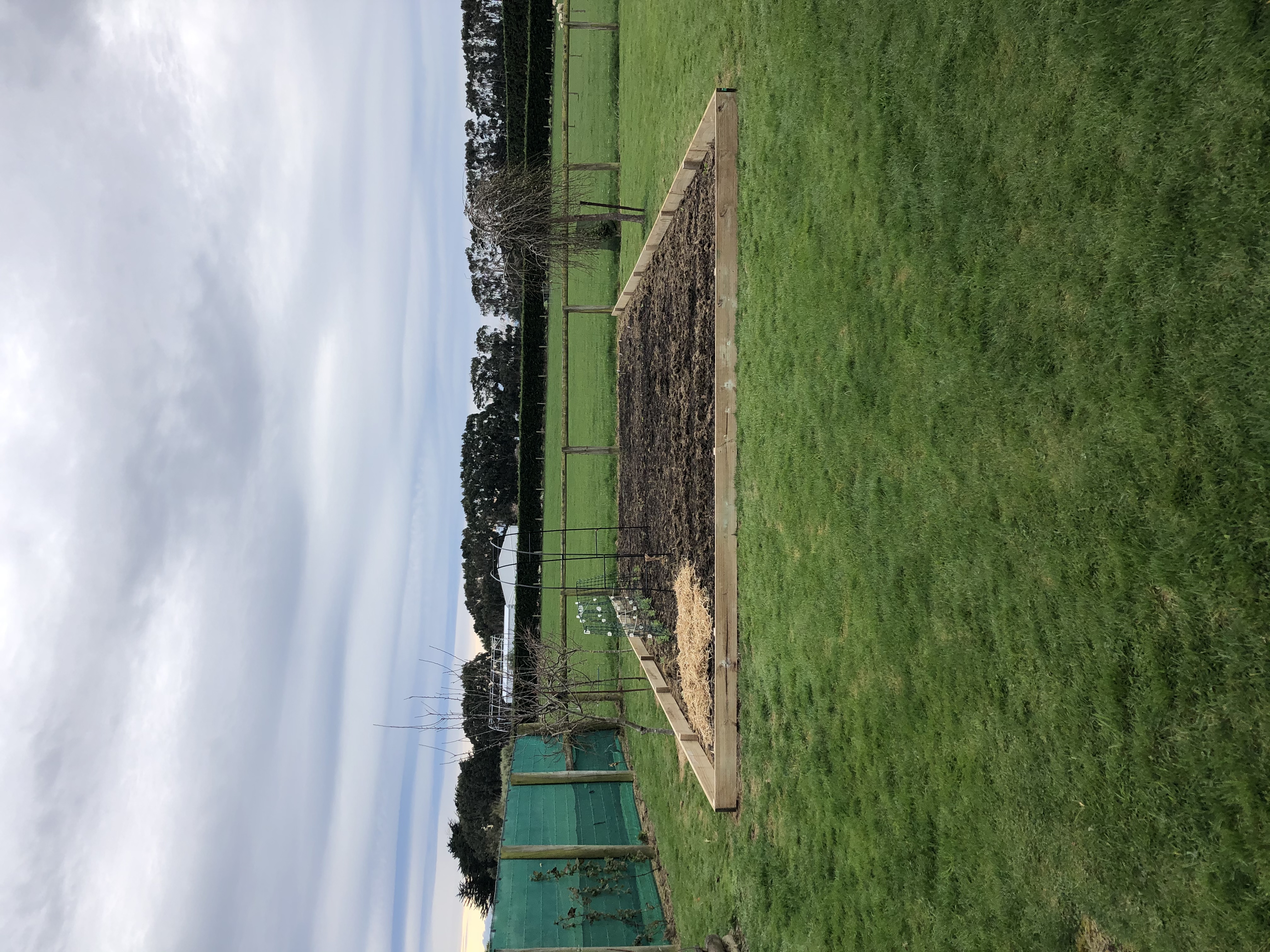 Husbands are awesome