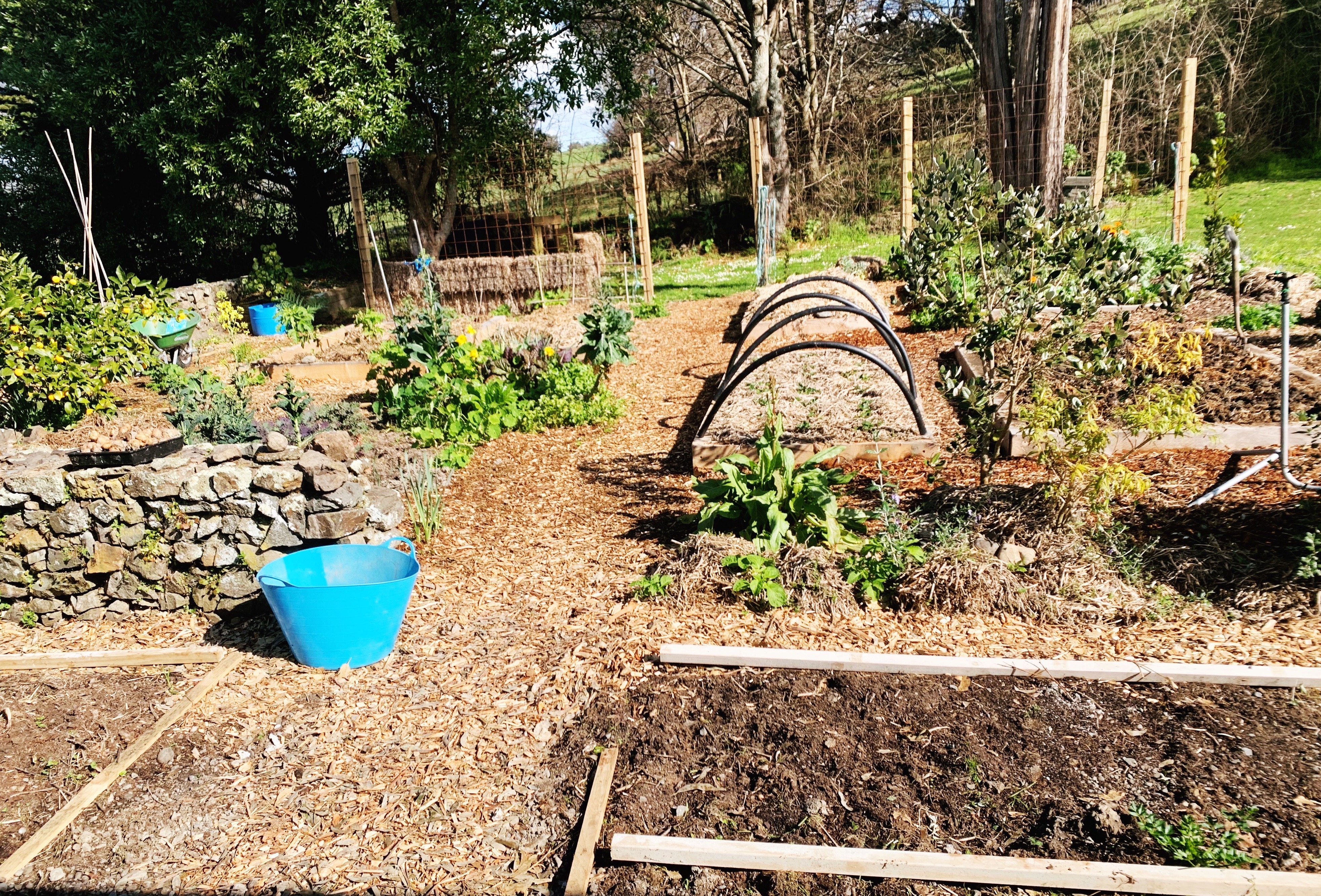 A PROPER INTRODUCTION