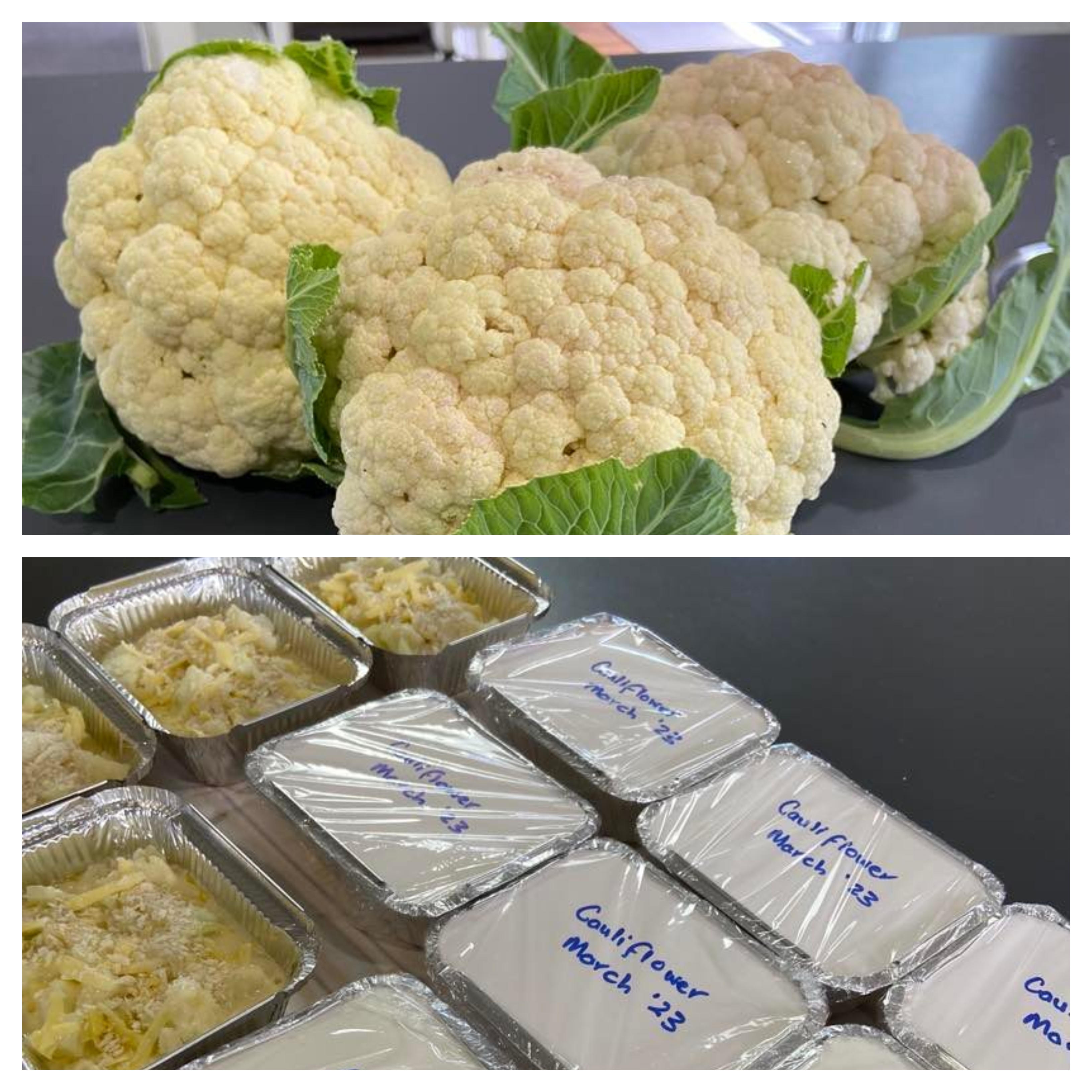 Preserving the Harvest Part 5