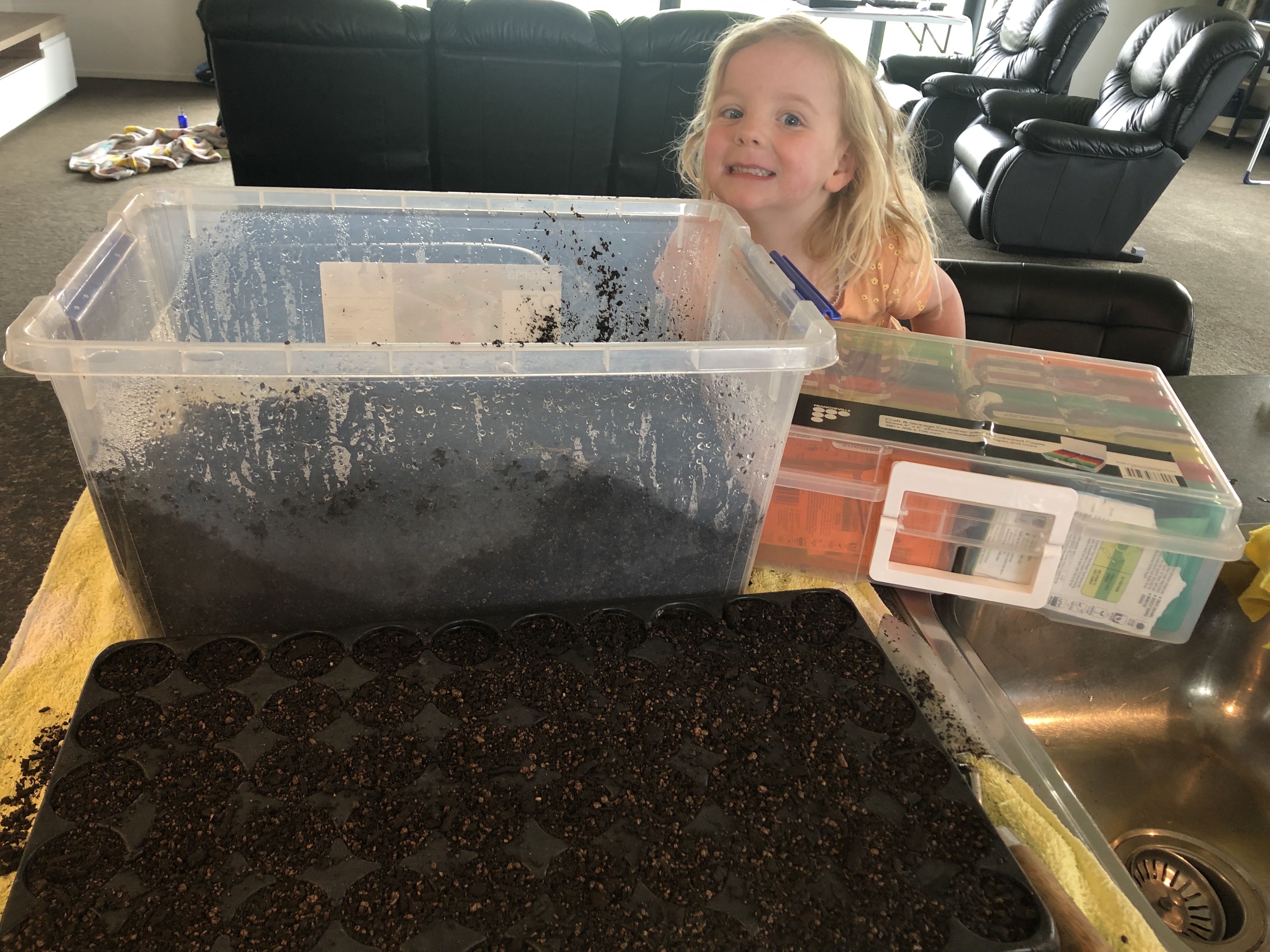 Summer seeds are in!