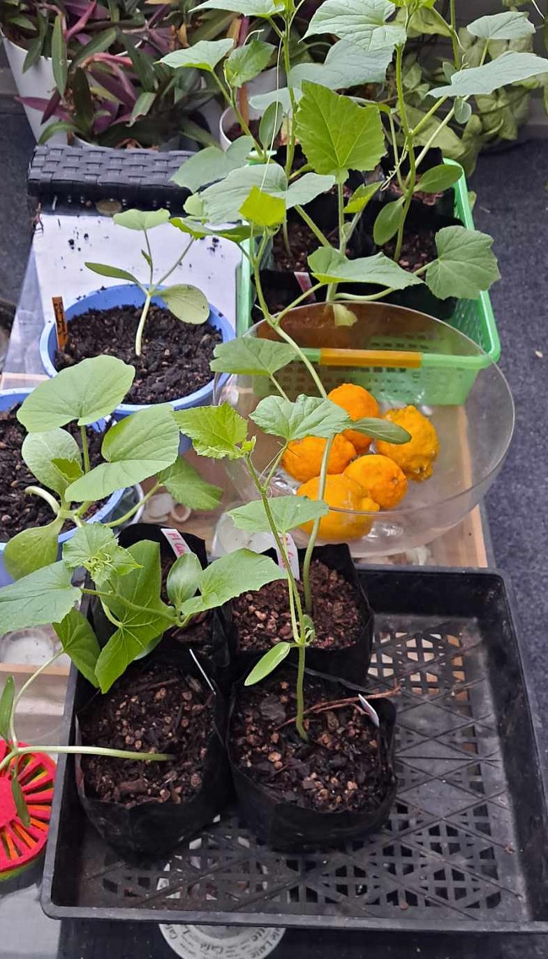 It's Time To Get Things Started