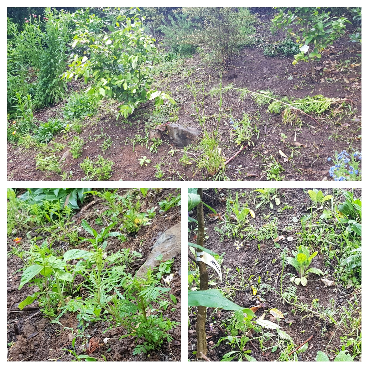 Bad Weather Isn't Always Bad