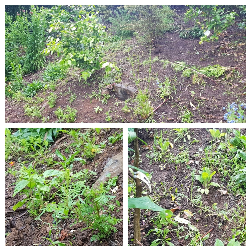 Bad Weather Isn't Always Bad