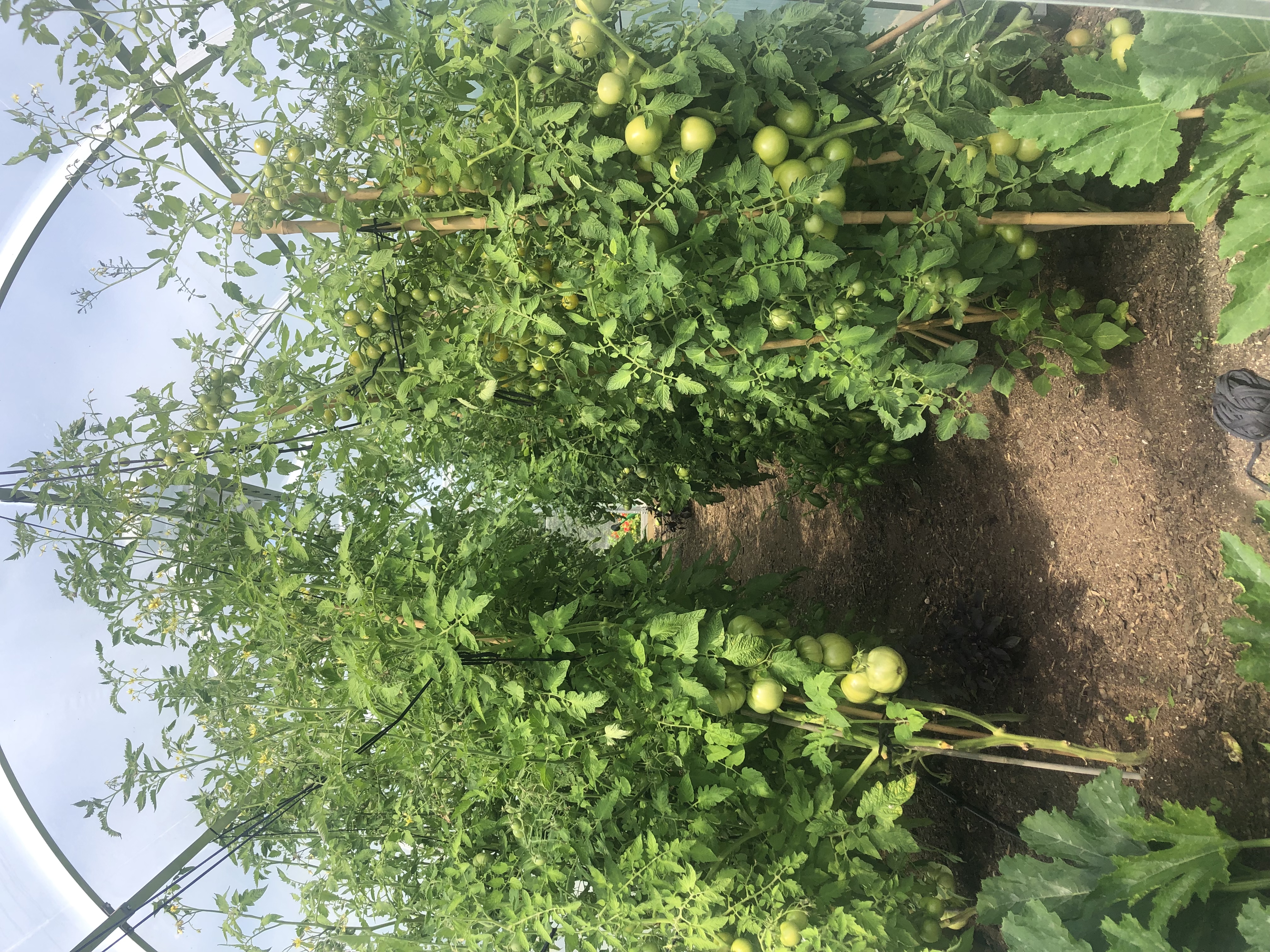 A bit out of control!