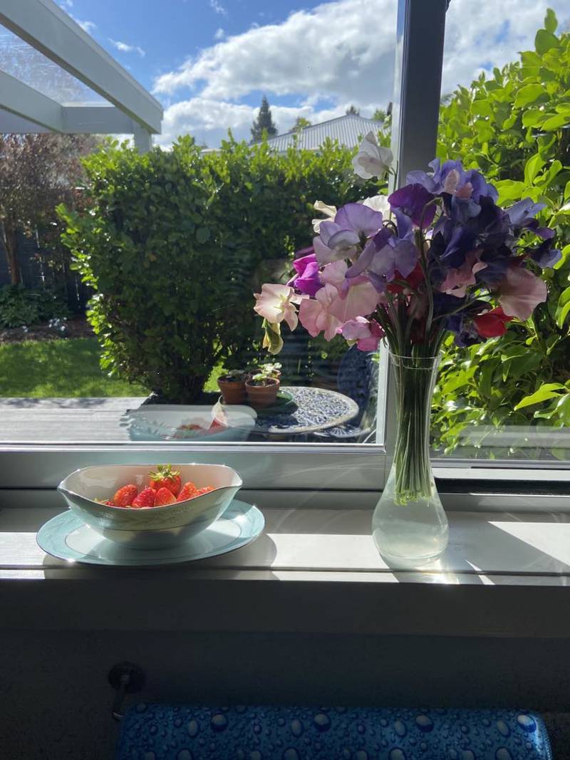 Summer on a Sill.