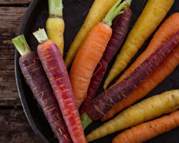 Rainbow Carrots Edm