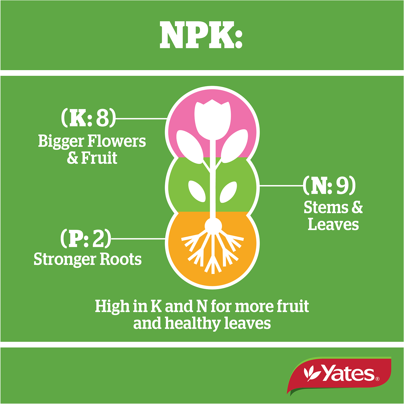 Yates Strawberry Liquid V1 05