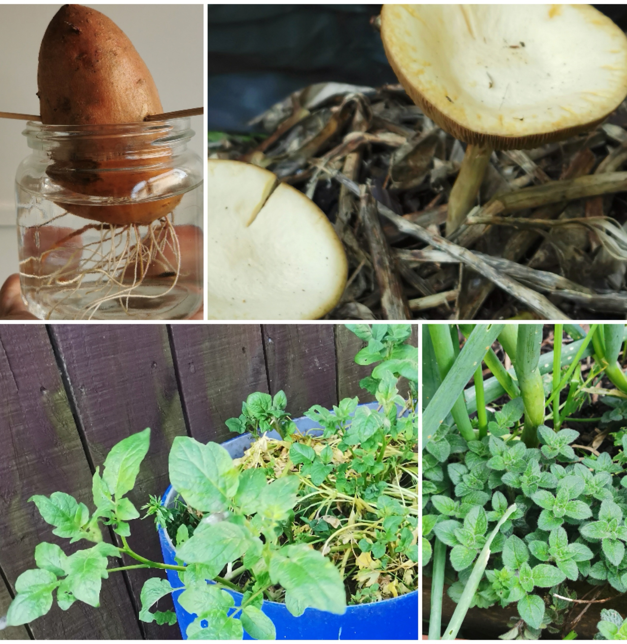 Plans working, suprise benefits and prep on the way. 