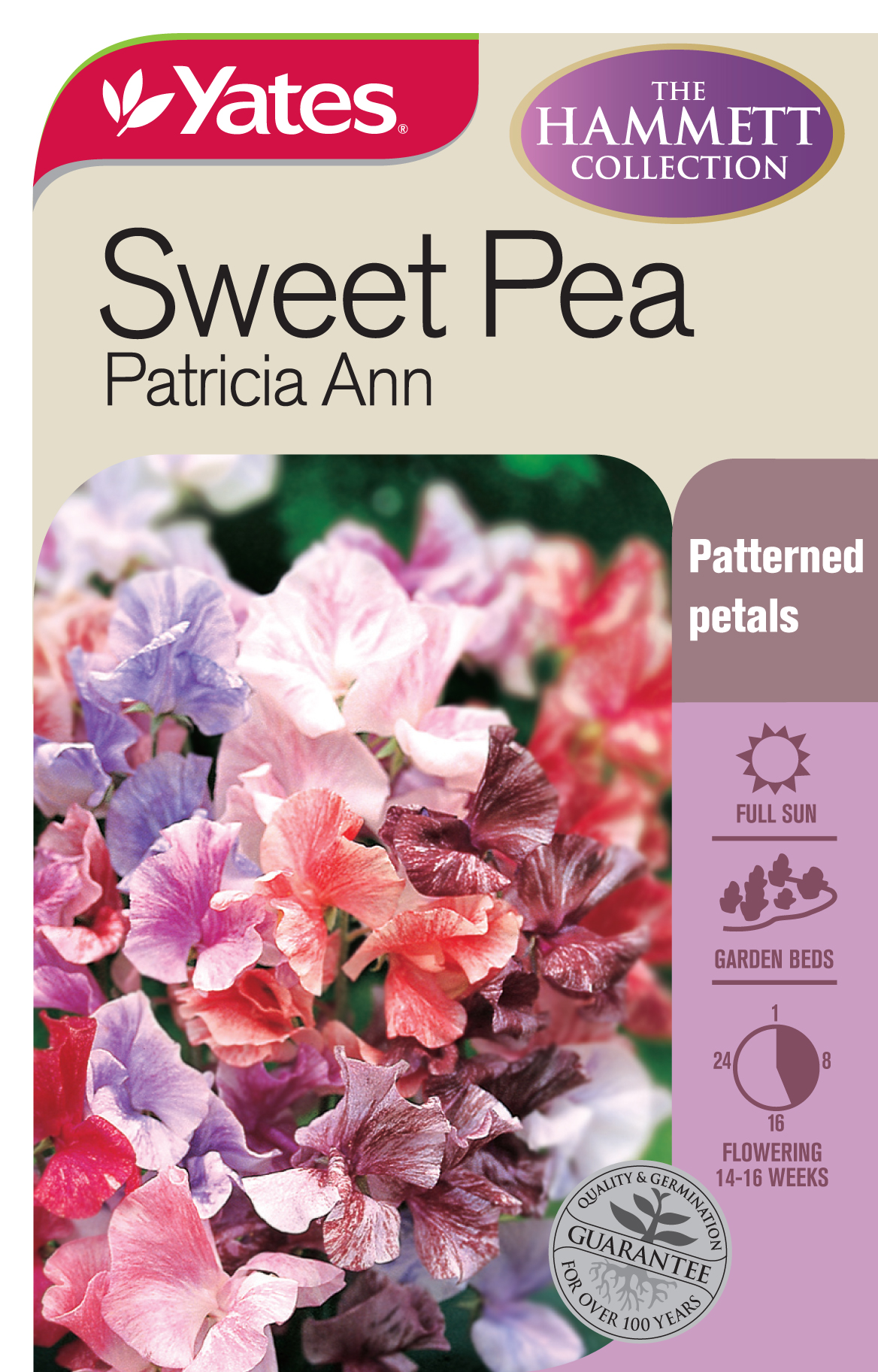 41085 Yates Flwr Sweet Pea Patricia Ann Packet Seed