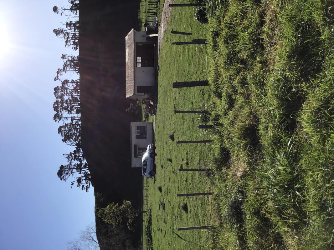 Birdhouse bend