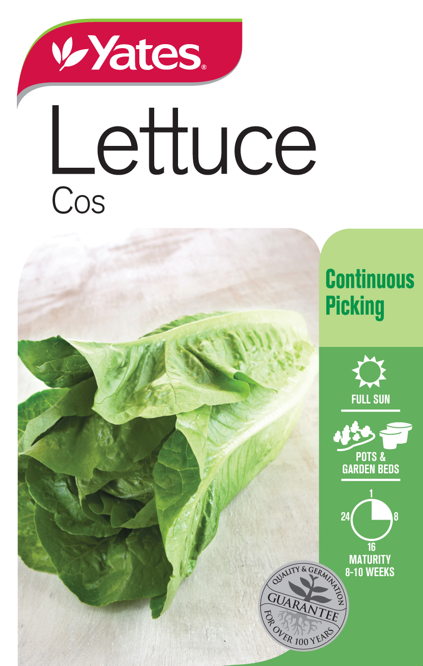 17621 Yates Vege Lettuce Cos Packet Seed